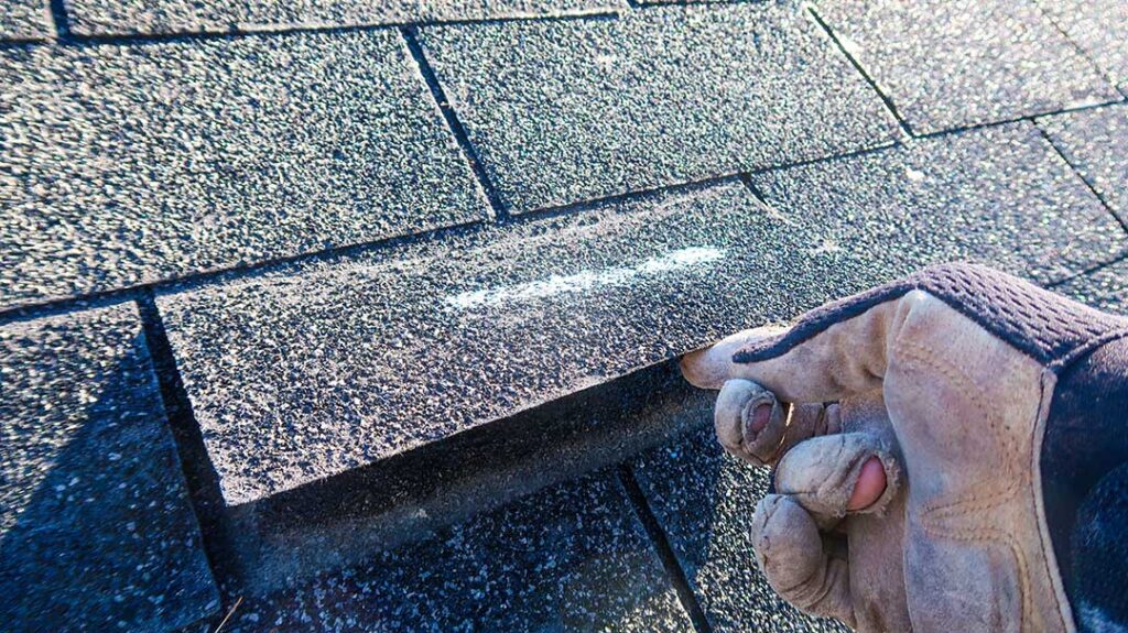Homeowner inspecting a dry shingle roof from a secured ladder with safety equipment nearby.