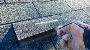 Homeowner inspecting a dry shingle roof from a secured ladder with safety equipment nearby.